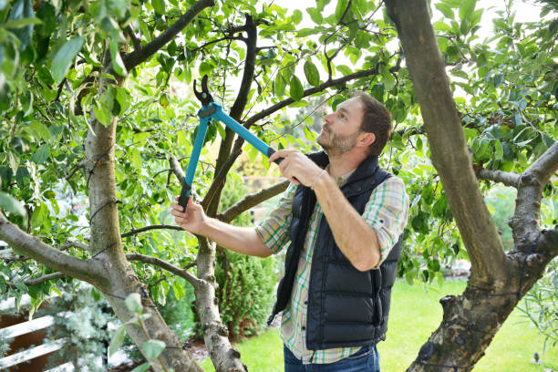 Best Arborist Consultation Services  in Clayton, AL